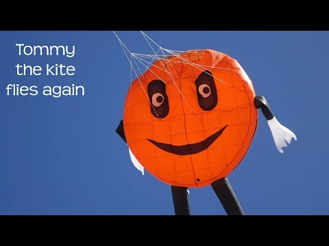 Tommy kite flies again