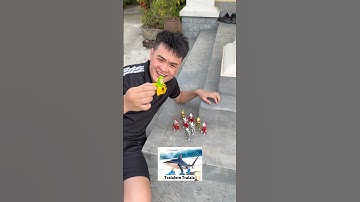 Tìm thấy quái vật Brainrot ở nhà #funny #brainrot