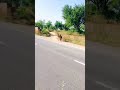 Khoty Road Par