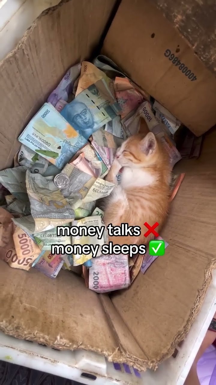Money talks nah money sleeps featuring prvnci