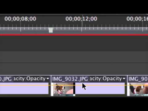 How To Make A Photo CD With Background Music : CDs & Audio Conversions