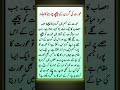 #islamicvideo #islamicshorts #quotes #urduquotes