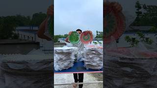 Don't Eat in papper plate #short #shorts #shortsfeed #trending #experiment