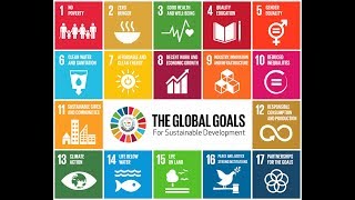 Unsdg Goal 17