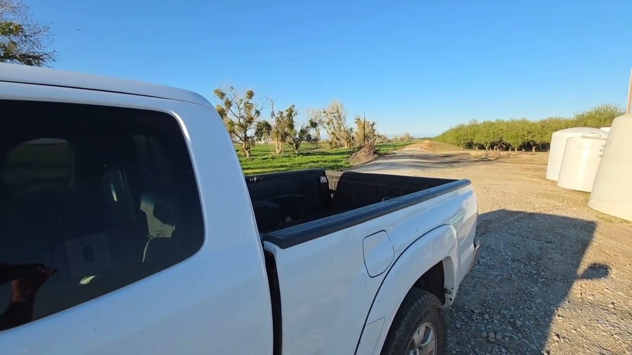 2 марта начали делать отводки что остается после отводков