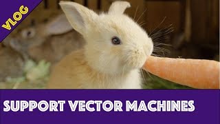 What is a Support Vector Machine?