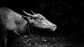 Art Of Curation - The Making Of A Photo Book