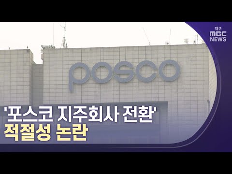 [대구MBC뉴스] '포스코 지주회사 전환' 적절성 논란