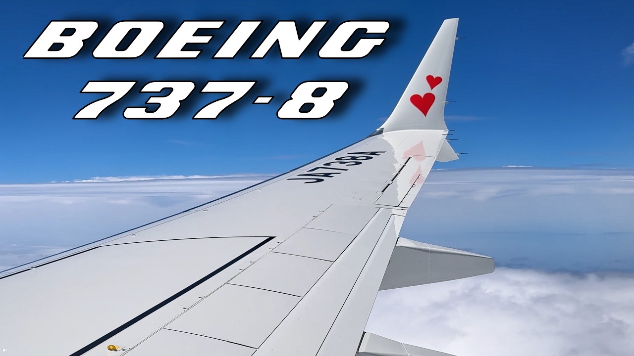 たまページ Skymark 1st 737-8 JA738A Landing at Fukuoka 16L | Descent–Approach