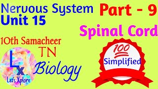 10 std Bio ,Unit 15 Nervous system, Spinal Cord, Part 9,  Samacheer Kalvi TN