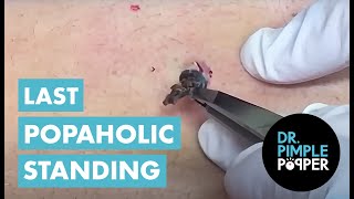 33 tours de POPS ! Pourrez-vous aller jusqu'au bout, Popaholics ?