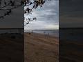 Волга #река Волга #Волгоград #shorts #travel #2025 #прогулка