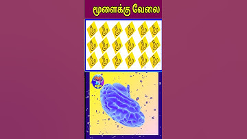 Memory test 7 #memorygames #tamil #memory #shorts #memorytest #trendingshorts