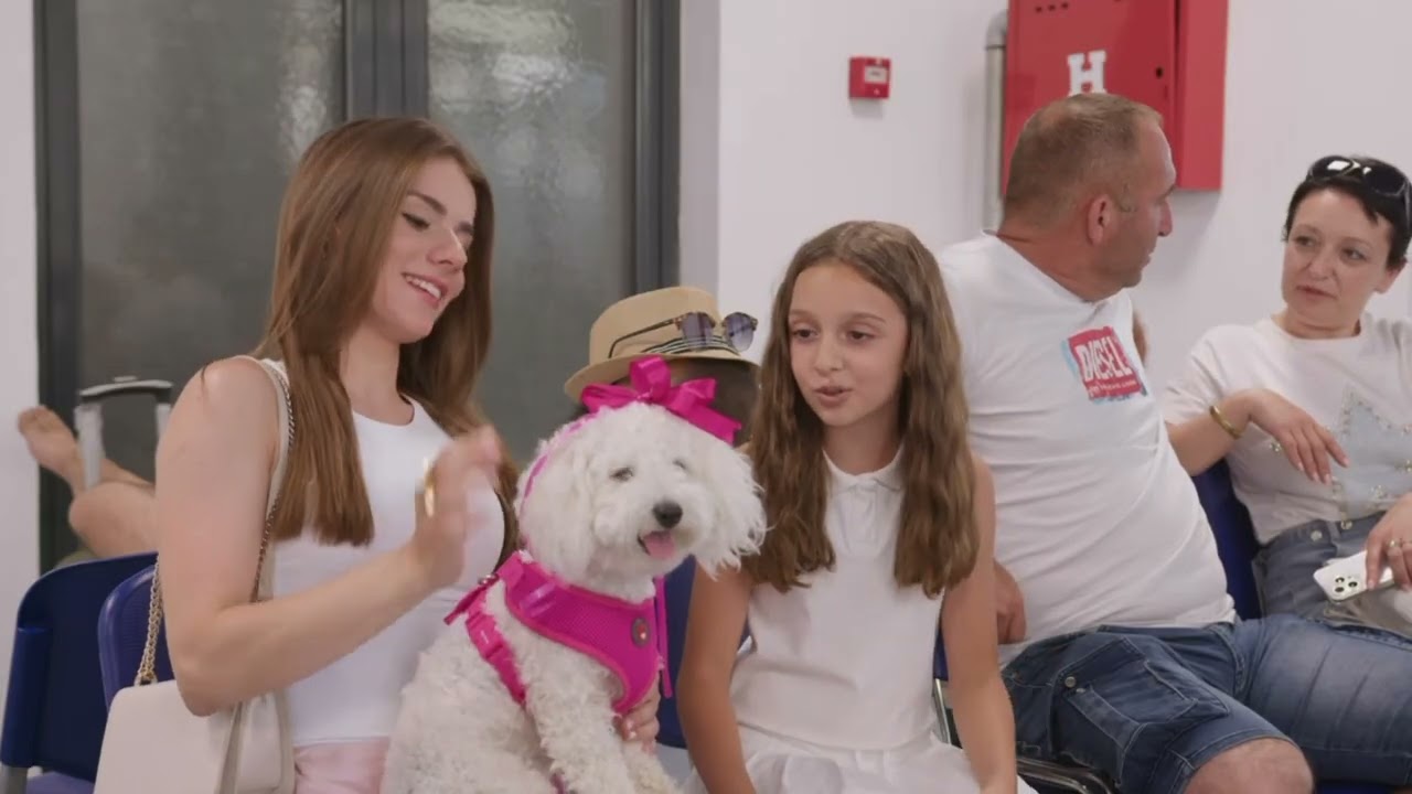 (TRIAL) MR BILL -STOJANOVSKI BLAGOJCE TUSE VO OHRIDSKI LUDORII