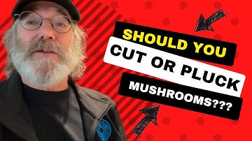 Paul Stamets- Cut or Pluck? How to Harvest a Mushroom