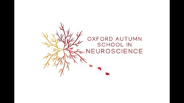 Finding a piece of the action; diverse influences on the control of behaviour