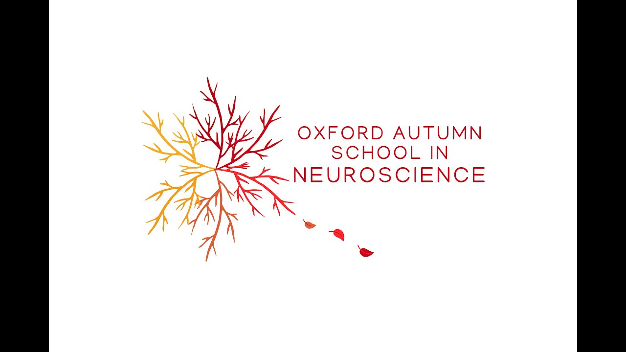 Finding a piece of the action; diverse influences on the control of behaviour