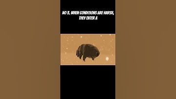 From Space to Boiling Water: Indestructible Tardigrade