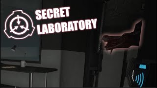 Definition of Insanity | SCP:SL