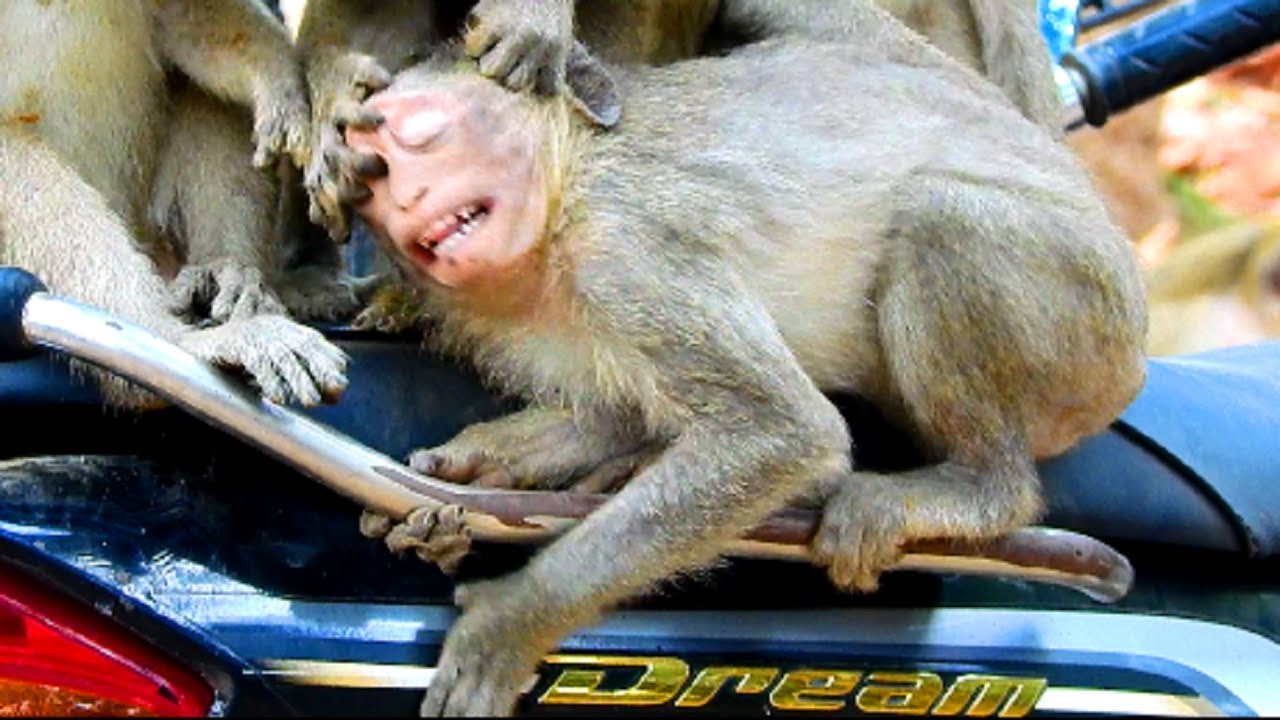 Drop tear million pieces !! David fight poor Julina cruelty till boss Mark help emergency