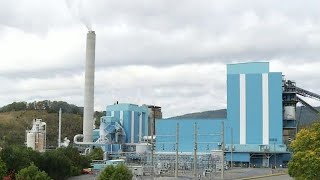 Temporary layoffs for more than 65 employees in Covington at WestRock
