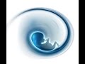 Остеопатическая биодинамика — введение в концепт эмбриональных и резонансно-ресурсных методов