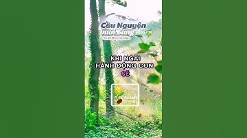 Cầu nguyện ngày 24/09 Tác giả 𝗠𝗮𝗿𝗰𝘂𝘀 𝗦𝘁𝗮𝗻𝗹𝗲𝘆 Kênh Câu Gốc Mỗi Ngày
