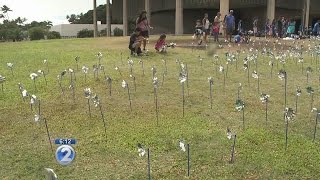 Pinwheels offer symbols of hope to prevent child abuse