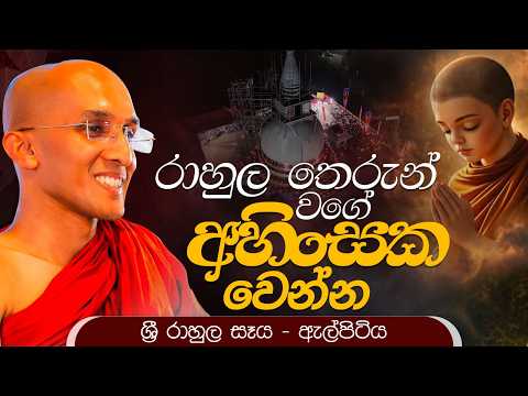 රාහුල තෙරුන් වගේ "අහිංසක වෙන්න" | Ven Ankubure Amithadeepa Thero