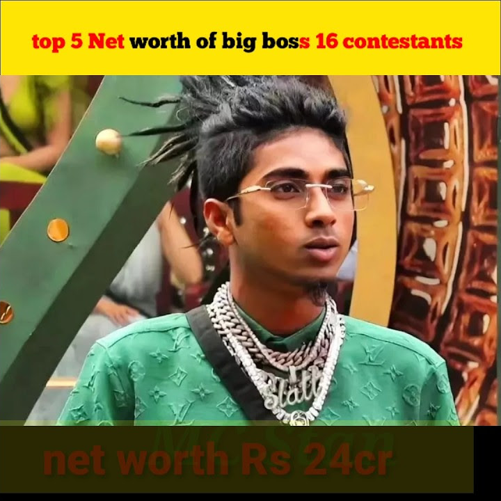 Top 5 net worth of big boss 16 contestants shortvideo viral 