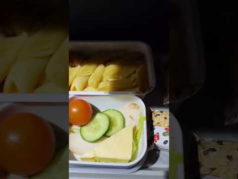 Летим домой на Airbus A-330-300 a/k Aeroflot#asmr