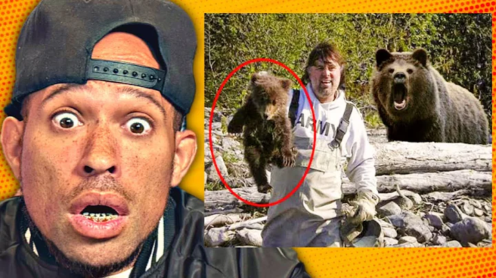 When Bears Go On A Rampage Caught on Camera! OMG, I'm TERRIFIED...