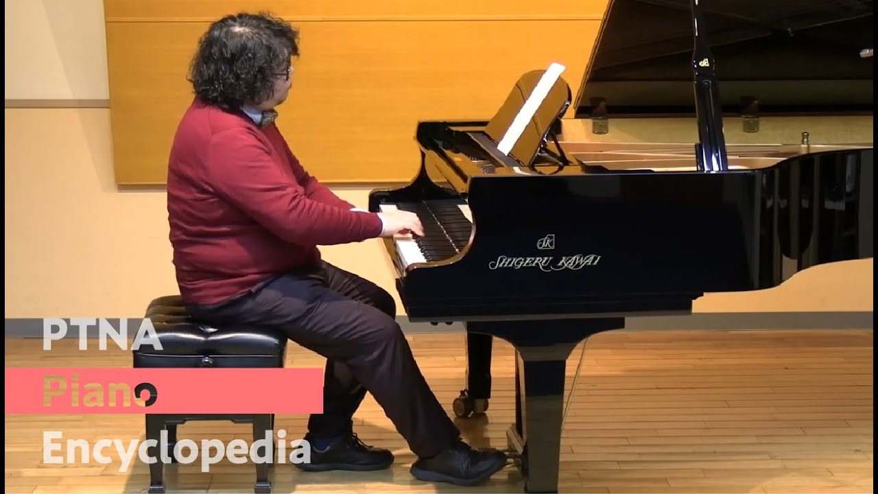 【希少】The Piano（ザ・ピアノ）バッハ編 DVD 16巻 Bach - Two and Three Part Inventions for the Piano Vol. 16