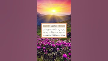 عصام حمود آيات من سورة النازعات