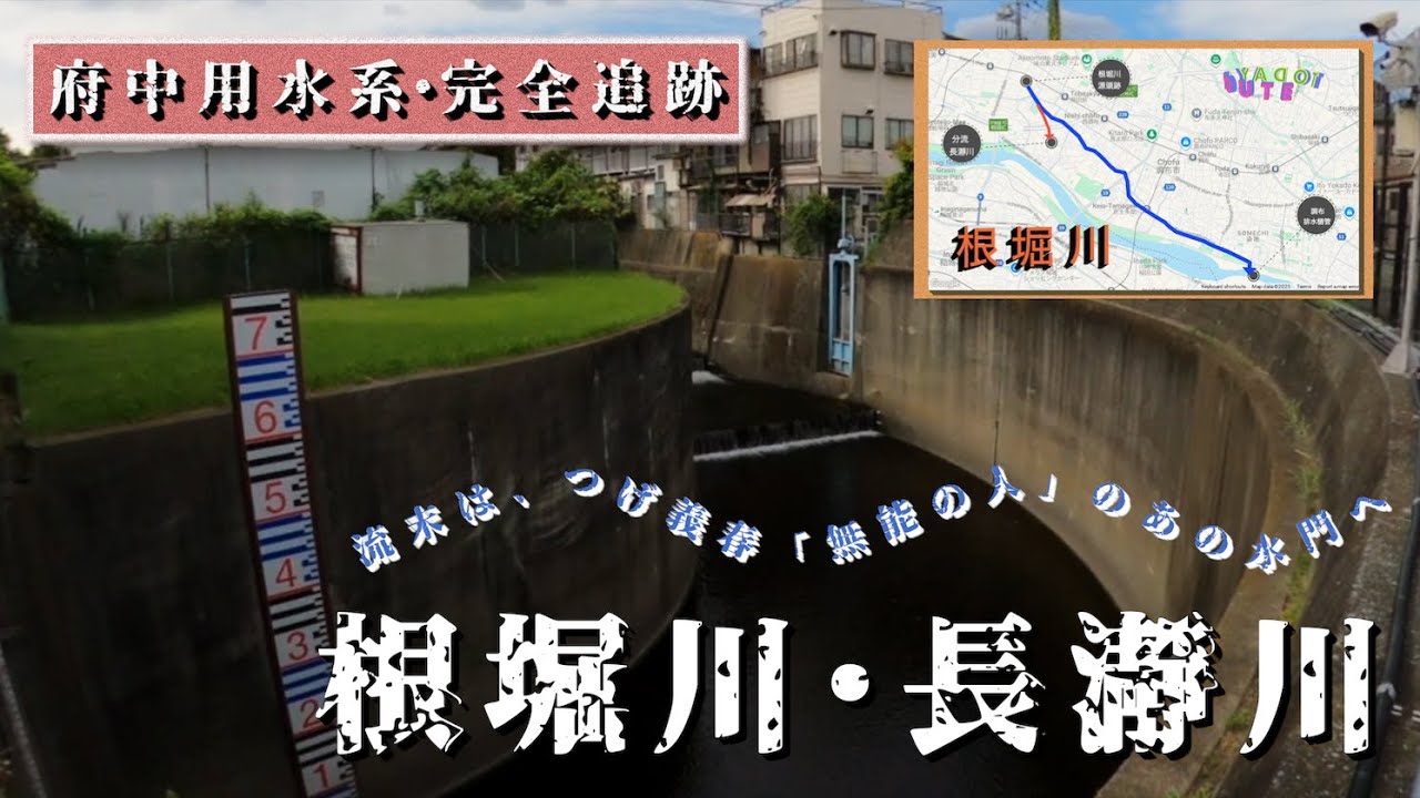 ♬【根堀川探訪】根堀川の源頭跡から調布排水樋管までの流路を辿る【TokyoCycling】