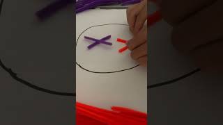 Mitosis Simulation Using pipe cleaner