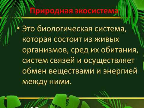 Естественные и искусственные экосистемы- естествознание, 5 класс