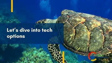 Remote Learning Best Practices - Relationship Building