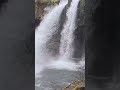 Sitting by a waterfall is so healing. #nature #pnw #waterfalls #washingtonstate #naturevibes