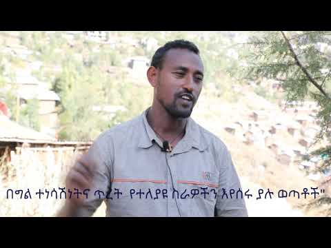 ቪዲዮ: በፍቃደኝነት የሚደረግ የህክምና መድን ፖሊሲ፡ ወጪ እና የንድፍ ገፅታዎች