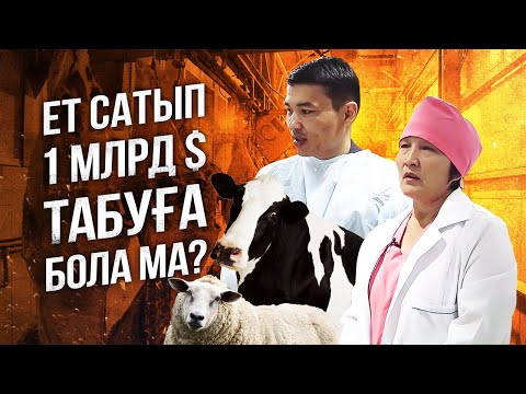 Бейне: Етті қалай сатуға болады