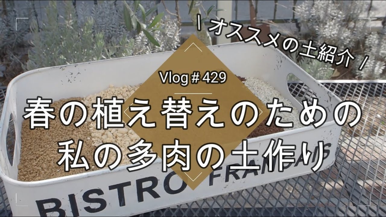 【Vlog429】【多肉植物】春の植え替えのための私の多肉の土作り【オススメの土紹介】