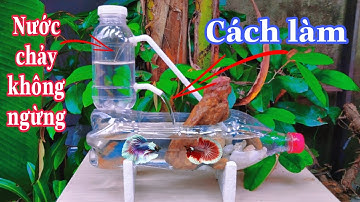 Cách Làm Bể Cá Bằng Chai Nhựa Và Nước Chảy Liên Tục Nuôi Cá Cảnh | Thanh 19 Vlog