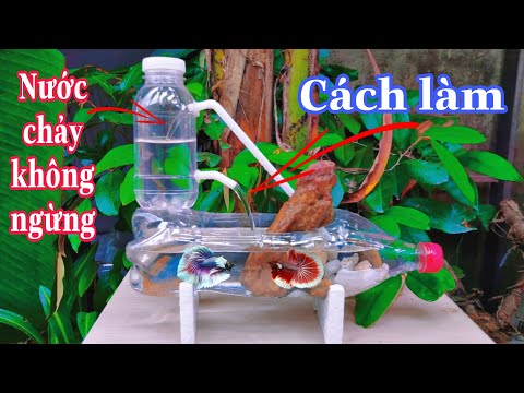 Video Cách Làm Bể Cá Bằng Chai Nhựa Và Nước Chảy Liên Tục... - youtube