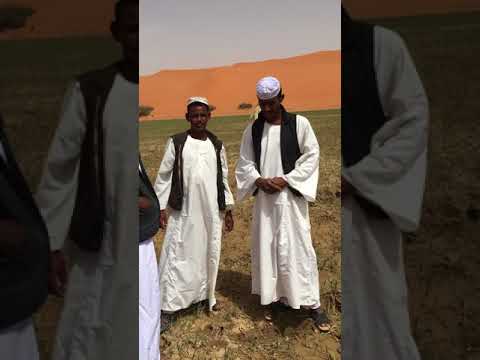 سمر البطانه يوسف ودالقدال والتاج