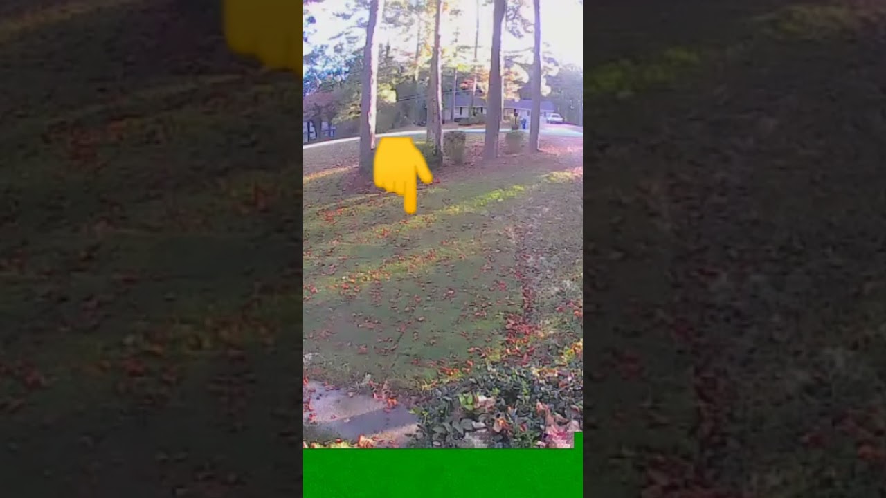 mysod has finally taken root