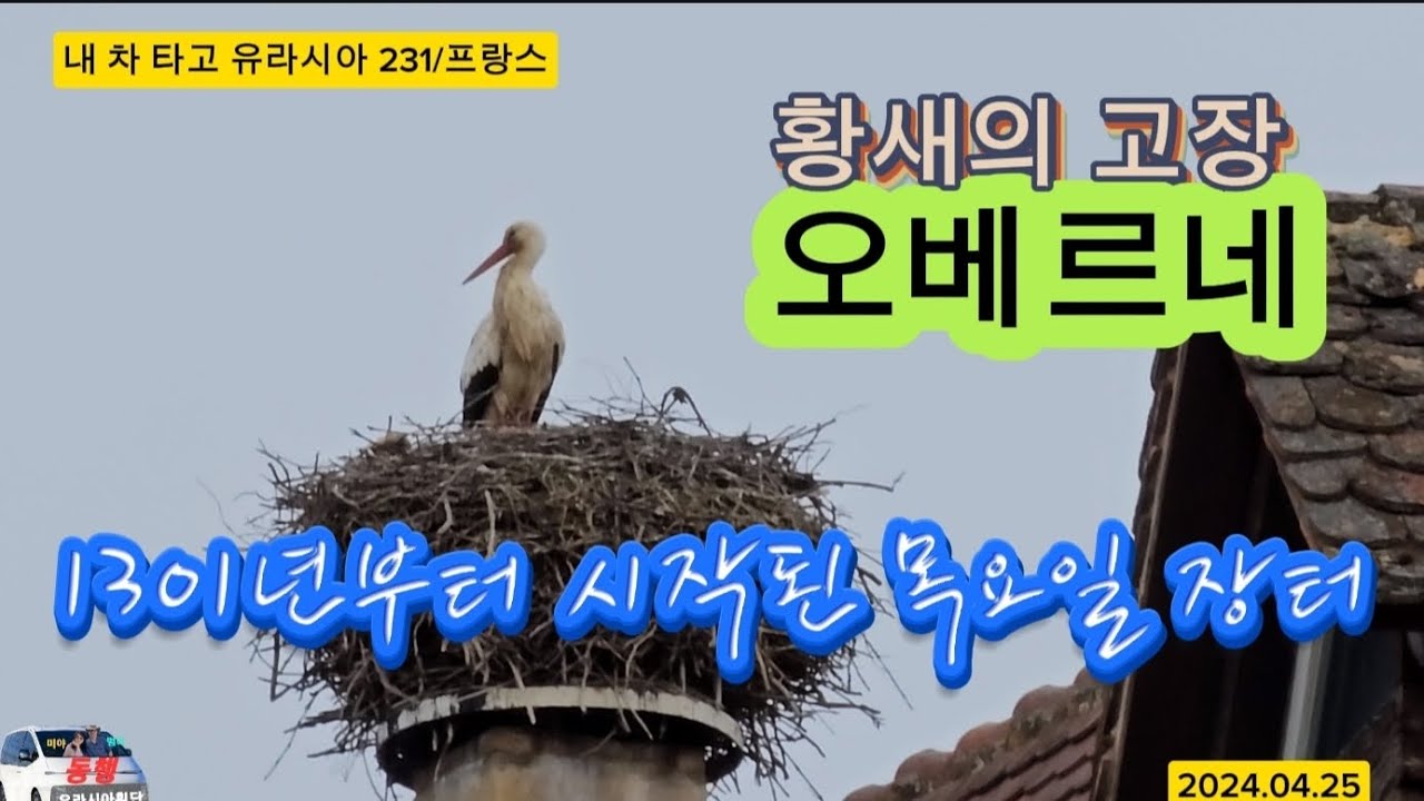 1301년부터 시작된 프랑스의 목요장터/황새의 고장 오베르네(내 차 타고 유라시아 231/프랑스)