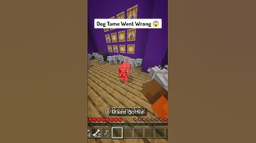 Taming a Dog in Minecraft (GONE WRONG) #shorts
