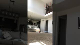 Ping pong trick shot off the wall into a red solo cup. #trending #pingpong #trickshots