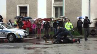 Policejní psovod